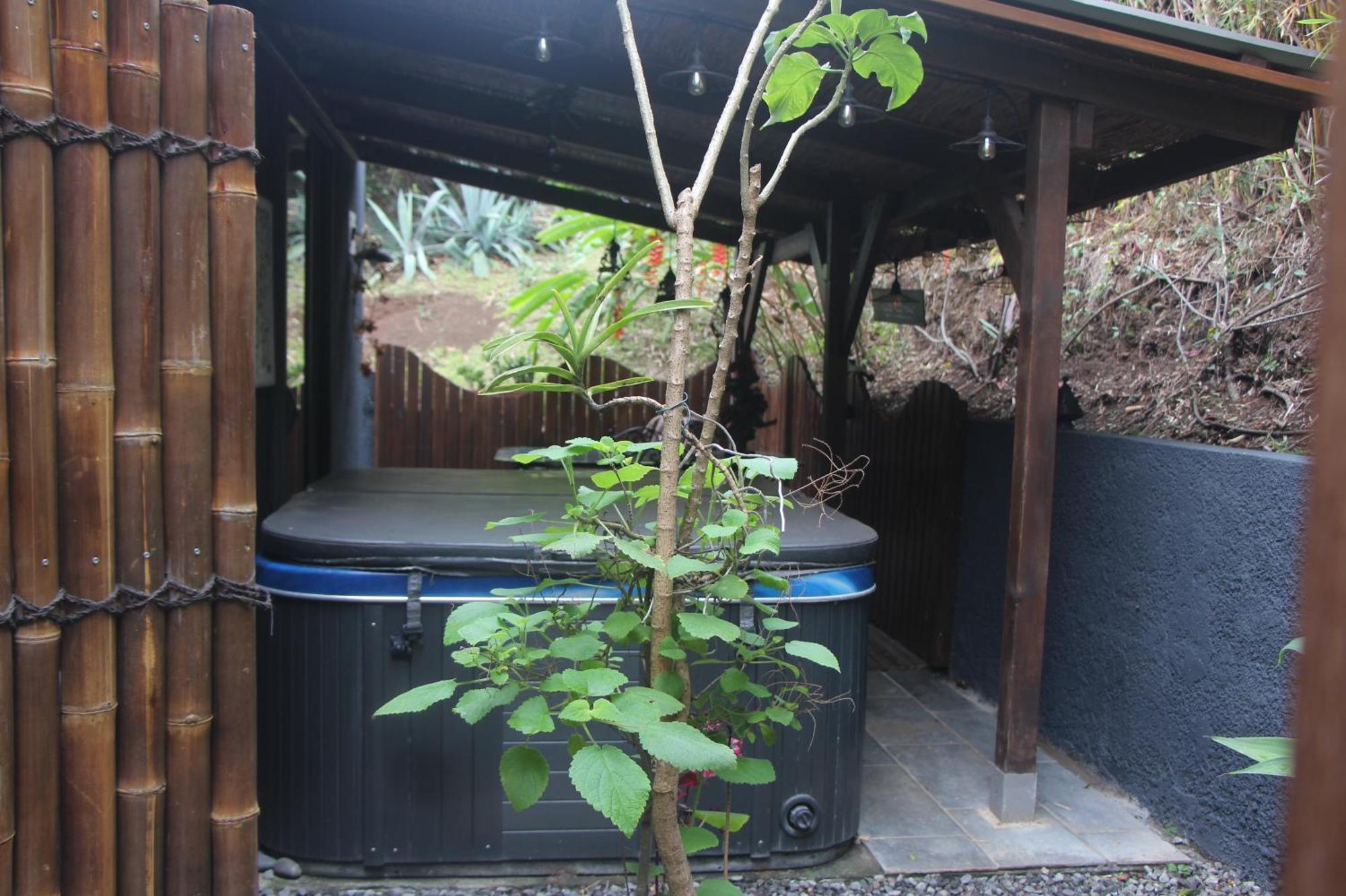 La Liane De Jade 974-Lodge Le Palissandre - Jacuzzi Privatif - Piscine Chauffee Le Bois de Nefles  Exterior photo
